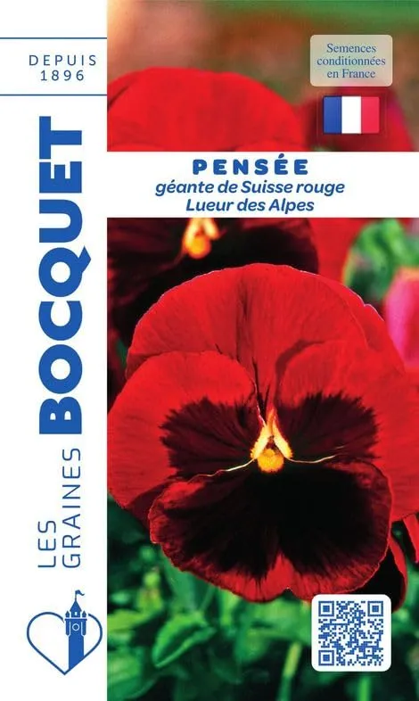 graines-bocquet-pens-e-g-ante-suisse-rouge-graines-fleurs-0-5-g image 1