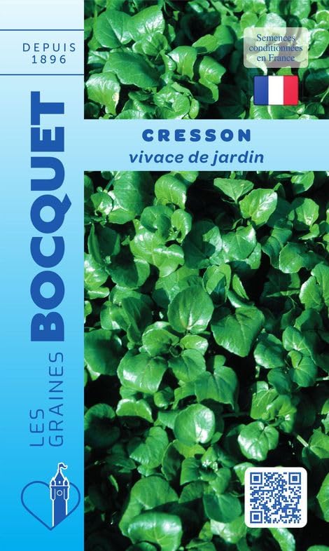 graines-bocquet-cresson-vivace-de-jardin-graines-5-g-salade image 1