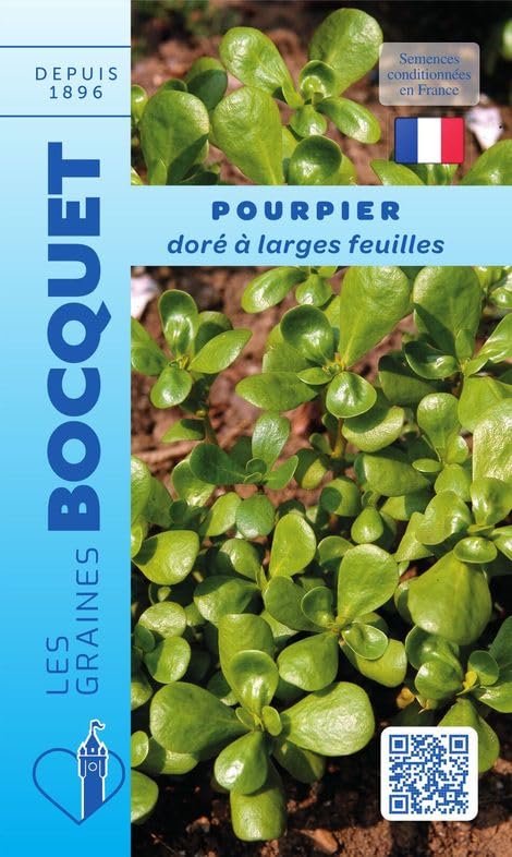 graines-bocquet-pourpier-dor-larges-feuilles-graines-1-g-doux image 1