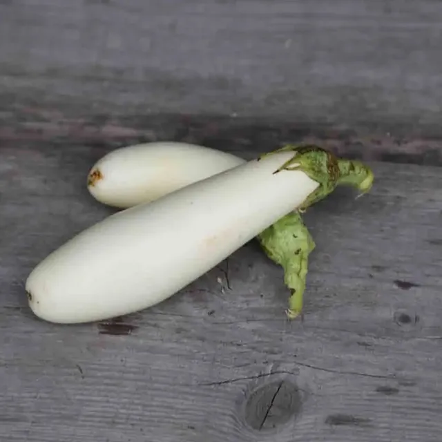ferme-de-sainte-marthe-aubergine-longue-blanche-ab-graines-bio image 1