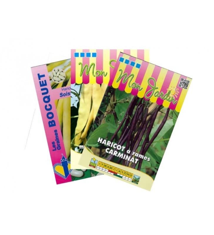 graines-bocquet-haricots-color-s-graines-haricot-rames-lot-270-g image 1