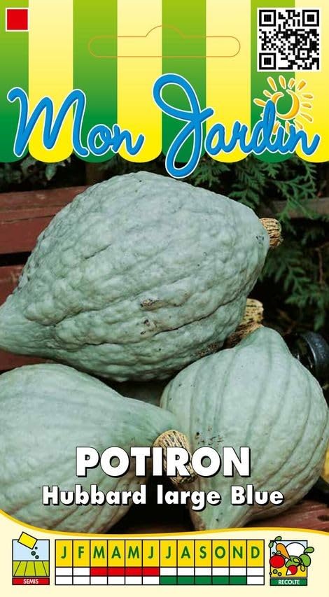 graines-bocquet-hubbard-blue-potiron-graines-3g-ancien image 1