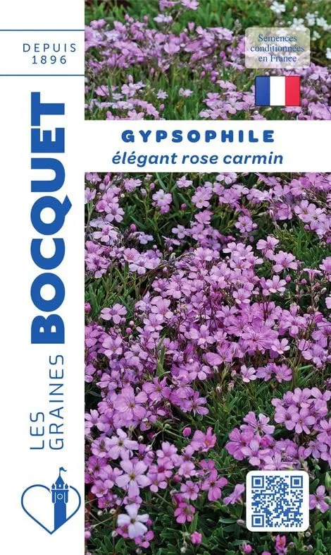 graines-bocquet-gypsophile-l-gant-rose-carmin-graines-fleurs-2-5-g image 1
