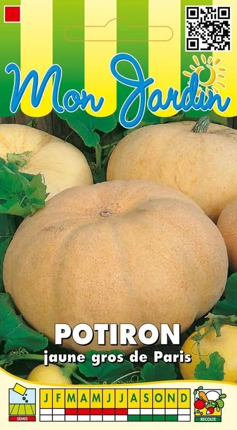 graines-bocquet-potiron-jaune-gros-de-paris-graines-potag-res-7-g image 1
