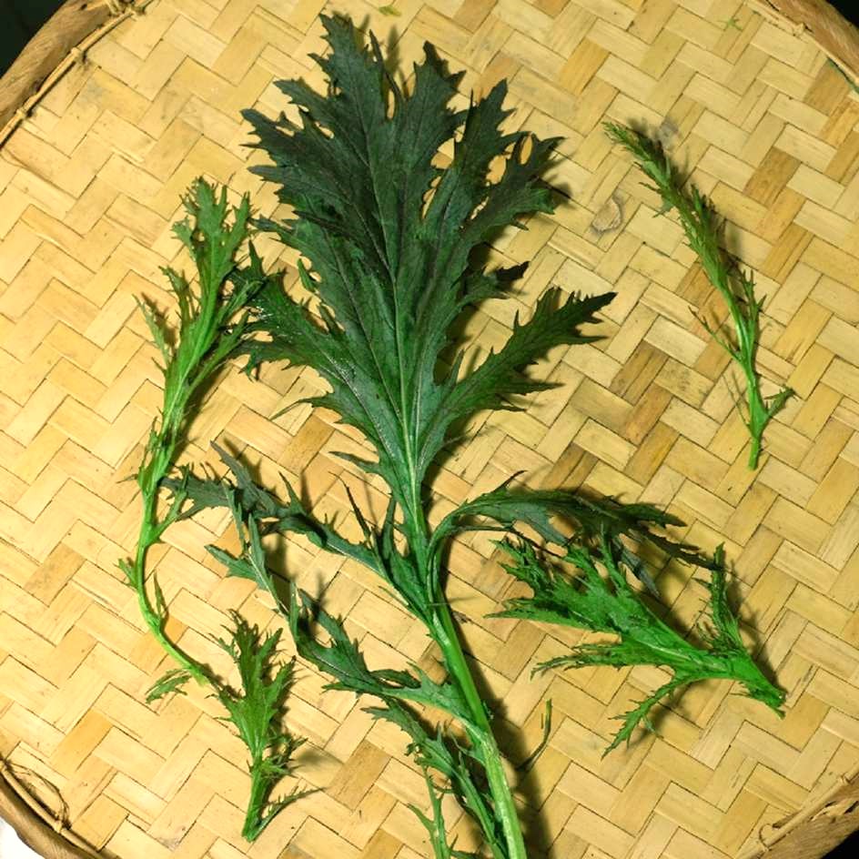 la-bo-te-graines-mizuna-rouge-bio-graines-l-gumes-salade-hiver image 1