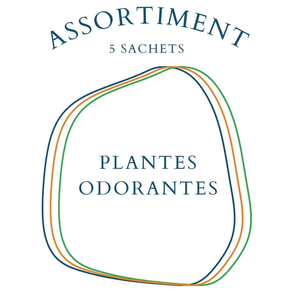 la-bo-te-graines-assortiment-plantes-odorantes-coffret-5-sachets-bio image 1
