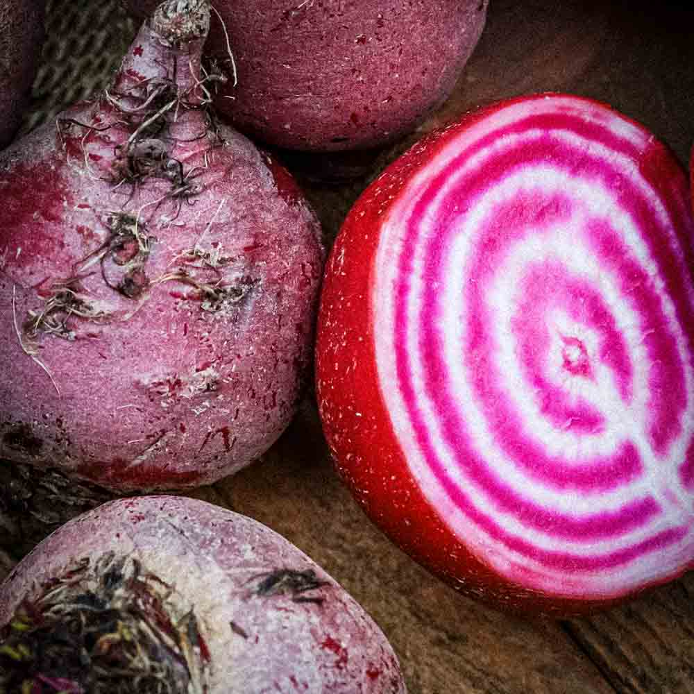 ferme-de-sainte-marthe-betterave-chioggia-graines-bio-sachet-sucr-e image 1