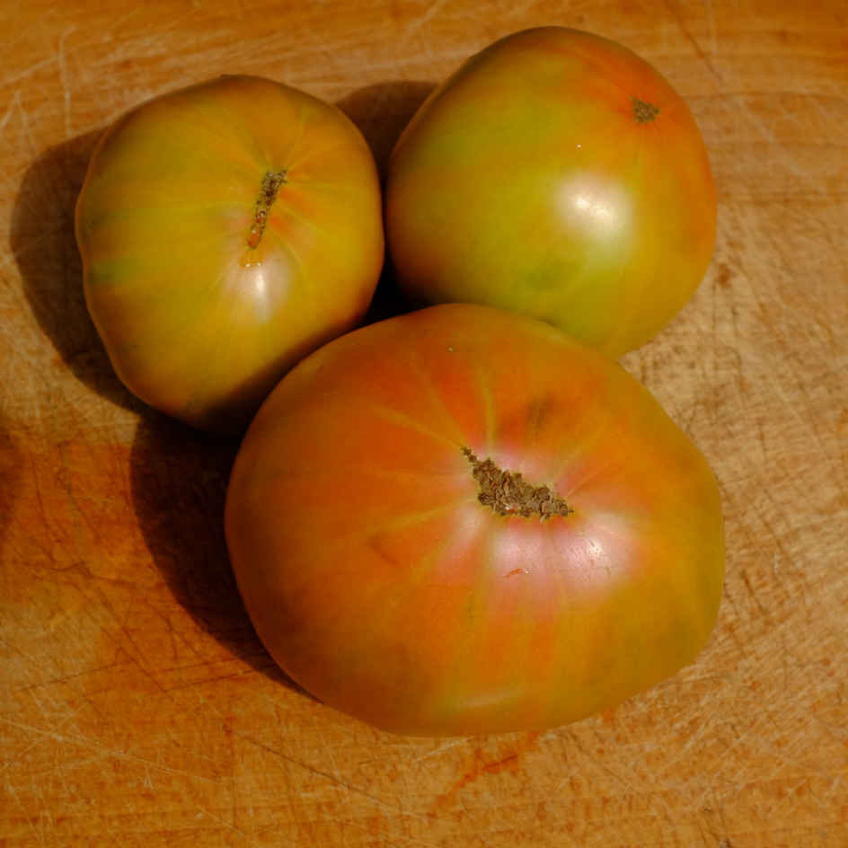 la-bo-te-graines-tomate-ananas-noire-graines-l-gumes-bio-mi-saison image 5