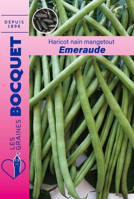 graines-bocquet-emeraude-haricot-nain-mangetout-graines-70g image 1