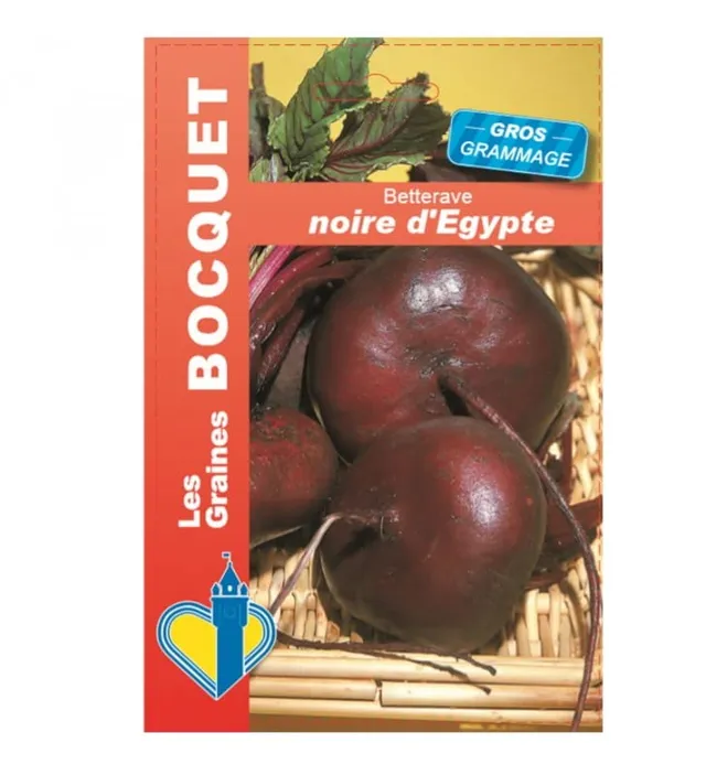 graines-bocquet-noire-d-gypte-graines-de-betterave-plate-21g image 1