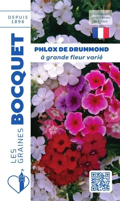 graines-bocquet-phlox-de-drummond-vari-graines-fleurs-0-5-g image 1