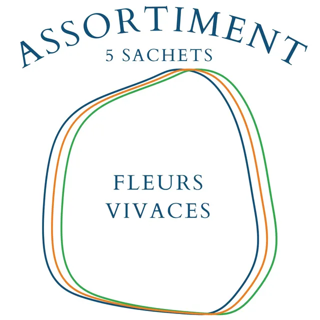 la-bo-te-graines-assortiment-fleurs-vivaces-5-sachets-bio image 1