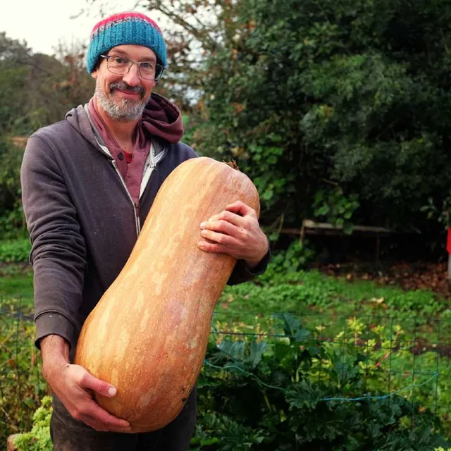 la-bo-te-graines-bambina-gigante-graines-courge-bio-g-ante image 1