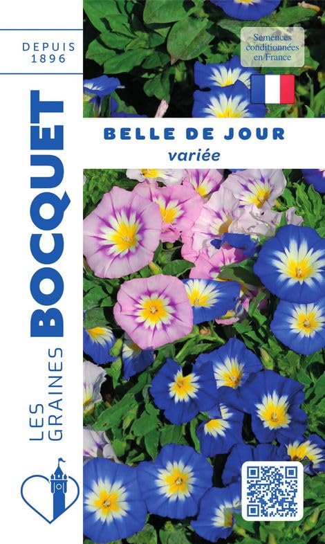graines-bocquet-belle-de-jour-vari-e-graines-3-g-annuelle image 1