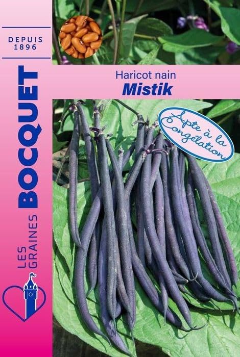 graines-bocquet-mistik-haricot-nain-graines-50g image 1