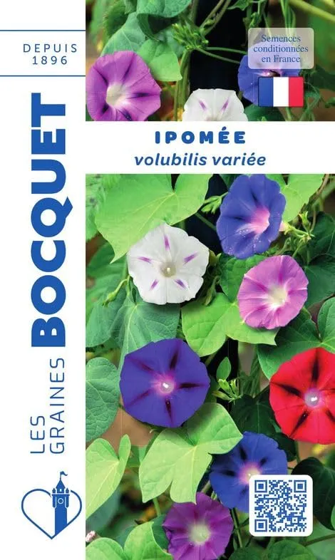 graines-bocquet-ipom-e-volubilis-vari-e-graines-fleurs-3-g image 1