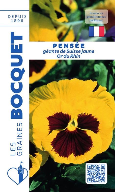graines-bocquet-pens-e-or-du-rhin-graines-fleurs-0-5-g-jaune image 1
