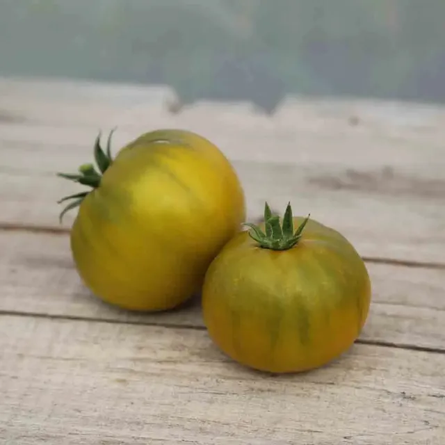 ferme-de-sainte-marthe-tomate-green-pineapple-graines-bio-salade image 1