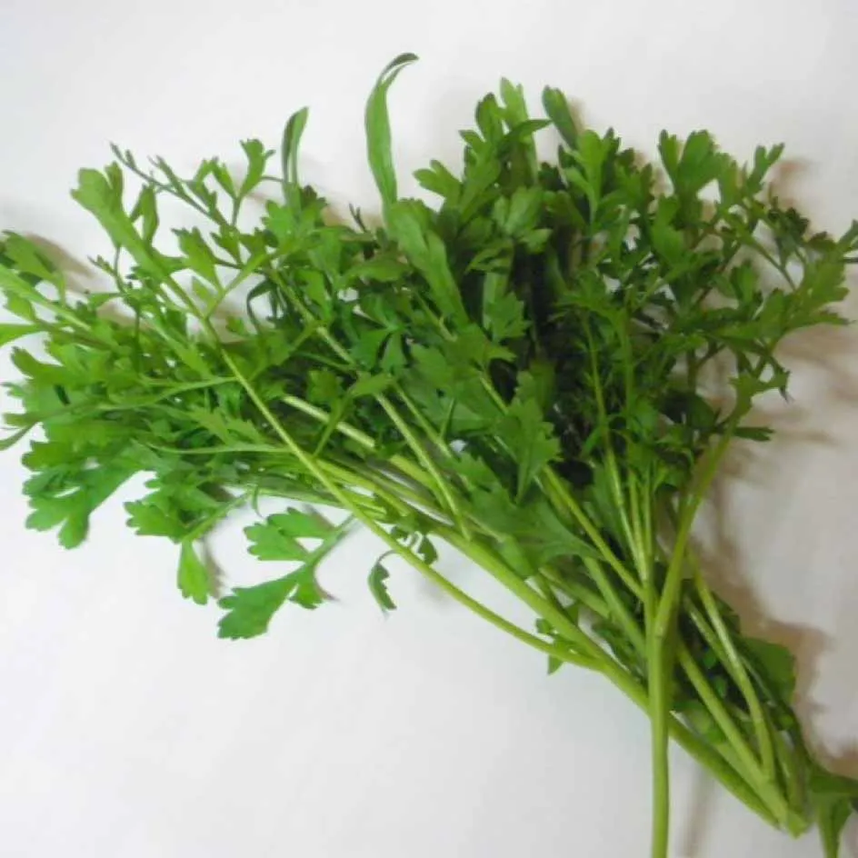 la-bo-te-graines-cresson-al-nois-graines-bio-piquant image 1