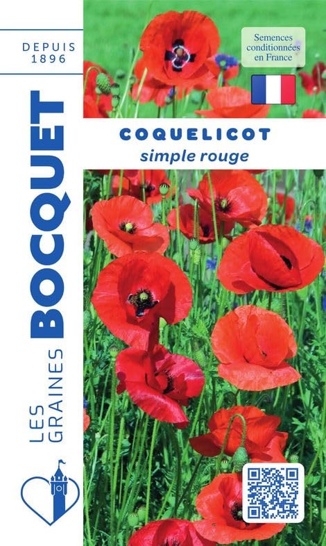 graines-bocquet-coquelicot-rouge-graines-fleurs-1-5-g-annuel image 1