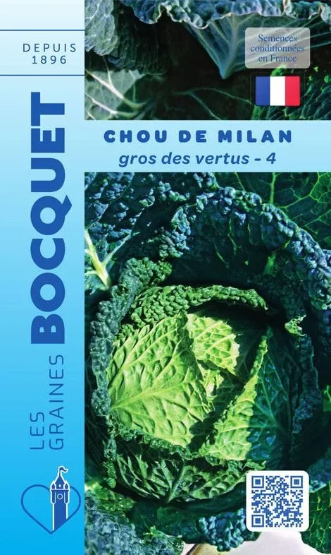graines-bocquet-chou-milan-gros-vertus-4-graines-potag-res-3-g image 1