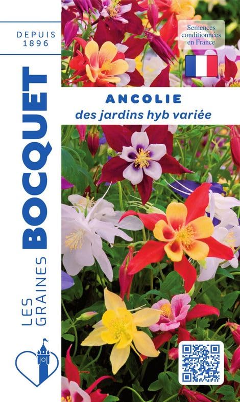 graines-bocquet-ancolie-des-jardins-graines-fleurs-0-4-g-vivace image 1