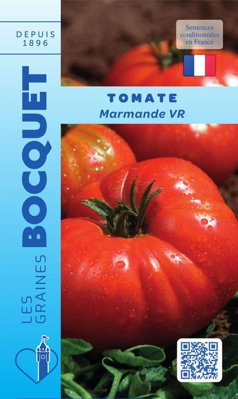 graines-bocquet-tomate-marmande-h-tive-vr-graines-1-g-gros-fruits image 1