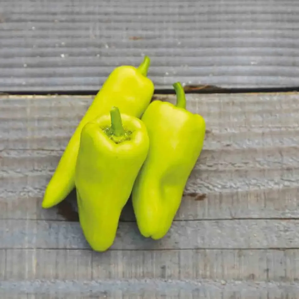 ferme-de-sainte-marthe-poivron-sweet-banana-graines-potag-res-bio-doux image 1