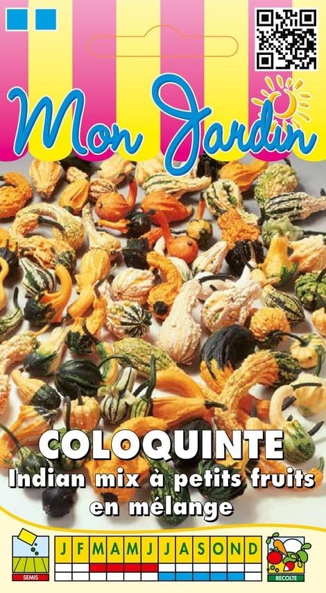 graines-bocquet-coloquinte-indian-mix-graines-3-g-d-coratif image 1
