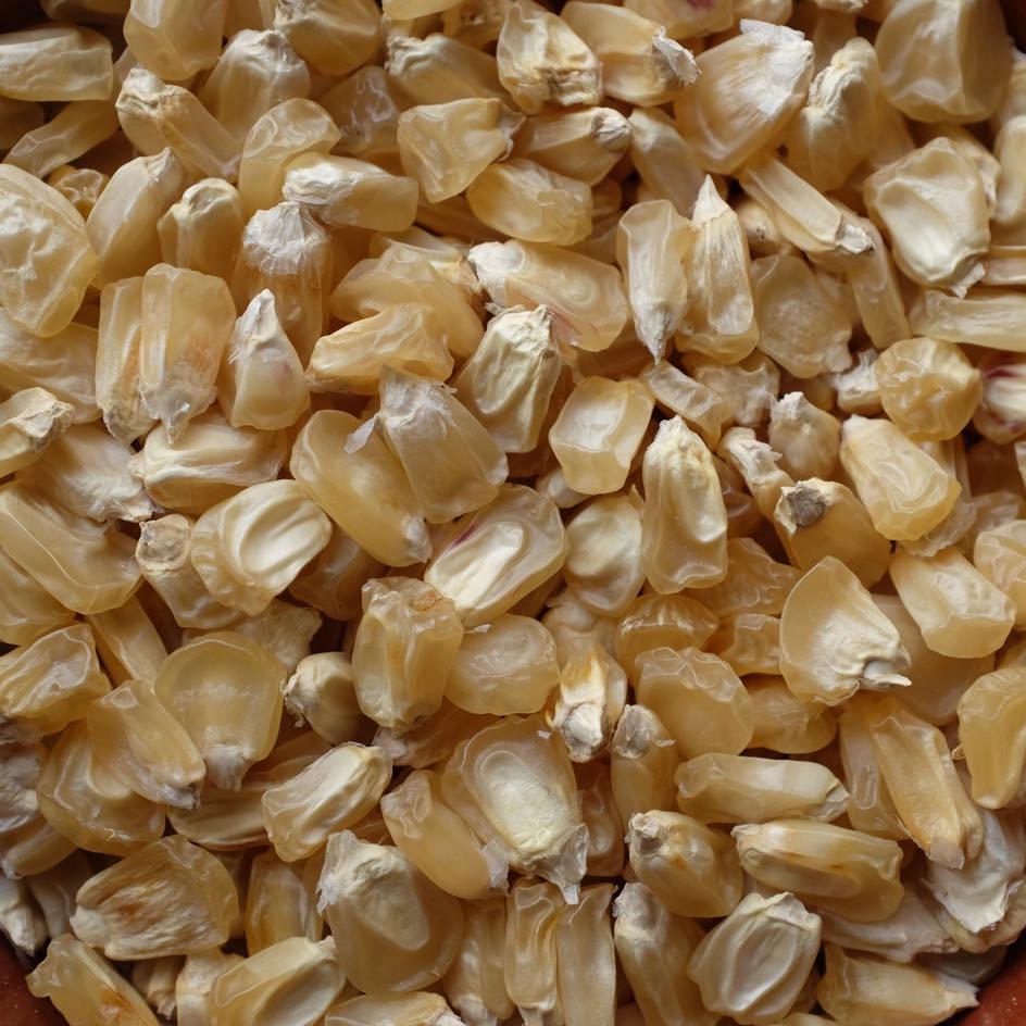 la-bo-te-graines-graines-l-gumes-ma-s-stowell-evergreen-bio-sucr image 2