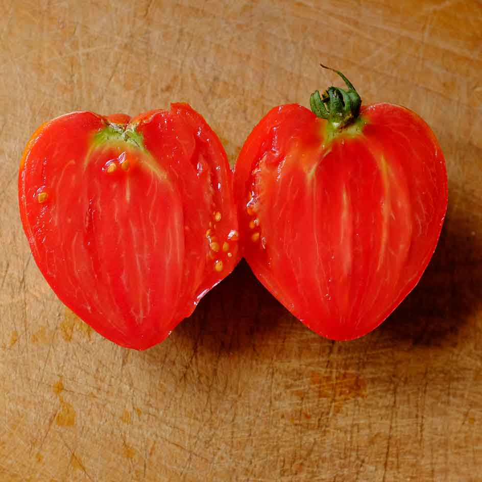 la-bo-te-graines-graines-l-gumes-tomate-c-ur-de-b-uf-j-rusalem-bio image 5