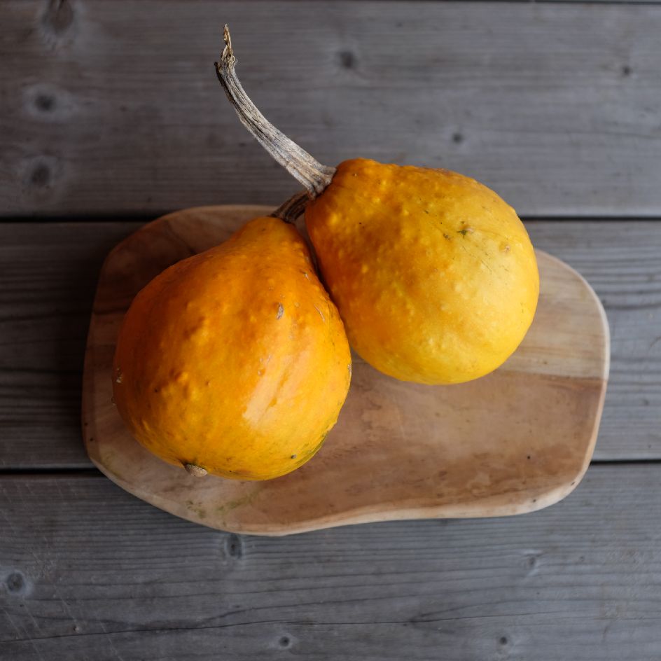 la-bo-te-graines-courge-lemon-graines-bio-chair-tendre image 5