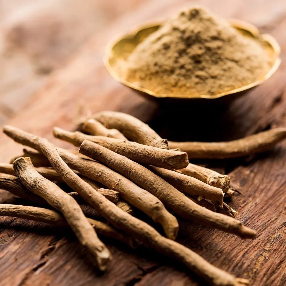 ferme-de-sainte-marthe-ashwagandha-graines-bio image 2