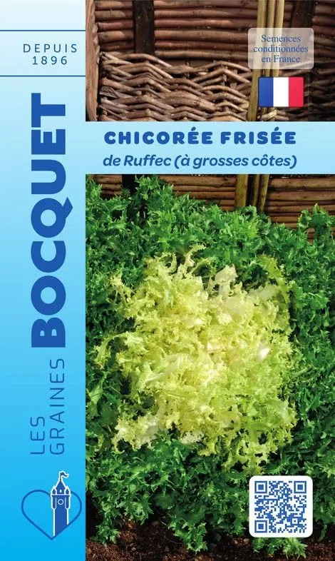 graines-bocquet-chicor-e-fris-e-de-ruffec-graines-4-g image 1