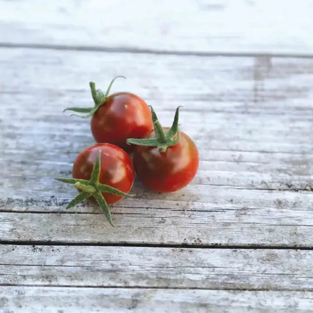 ferme-de-sainte-marthe-chinese-black-pearl-graines-tomates-bio image 1