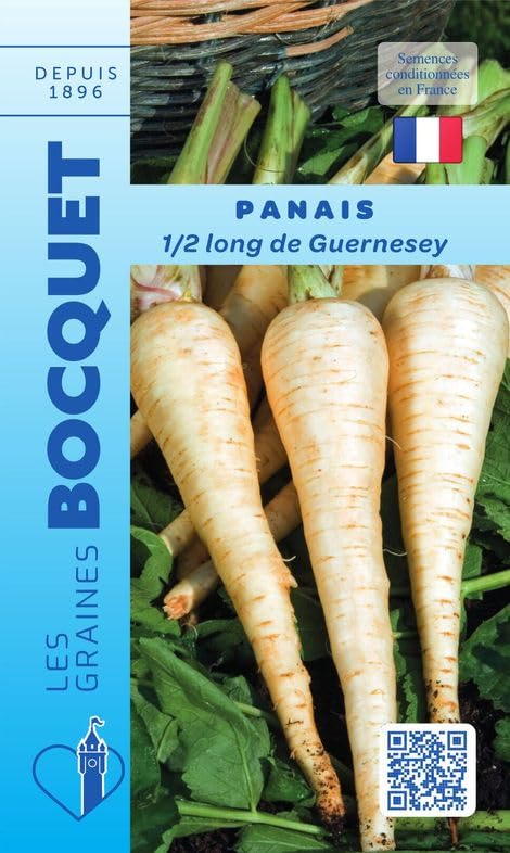 graines-bocquet-panais-1-2-long-guernesey-graines-4-g-racine image 1