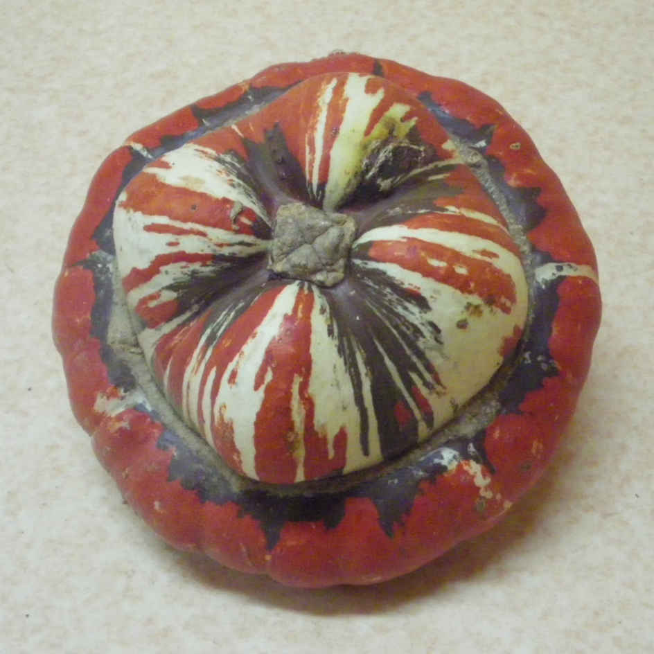 la-bo-te-graines-giraumon-turban-graines-de-potiron-bio-soupe image 3