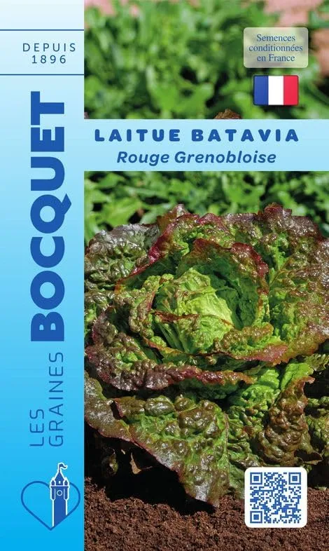 graines-bocquet-batavia-rouge-grenobloise-graines-laitue-4-g image 1