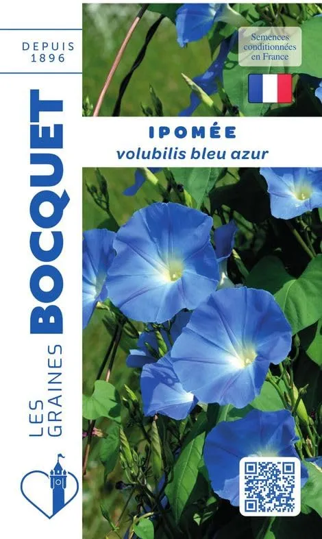 graines-bocquet-ipom-e-volubilis-bleu-azur-graines-3-g image 1