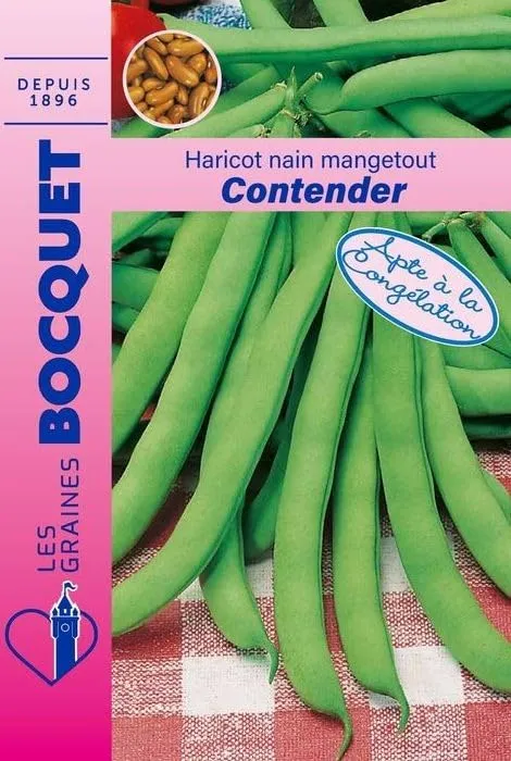 graines-bocquet-haricot-nain-contender-graines-120-g-productif image 1