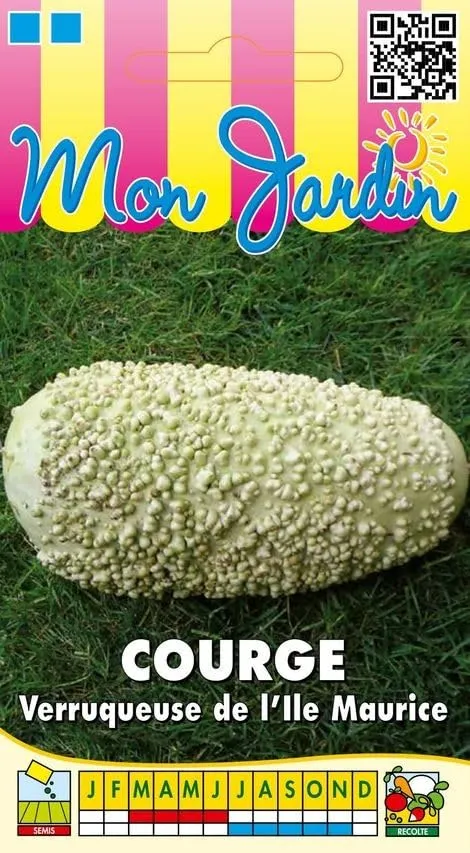 graines-bocquet-courge-verruqueuse-ile-maurice-graines-potag-res-3-g image 1