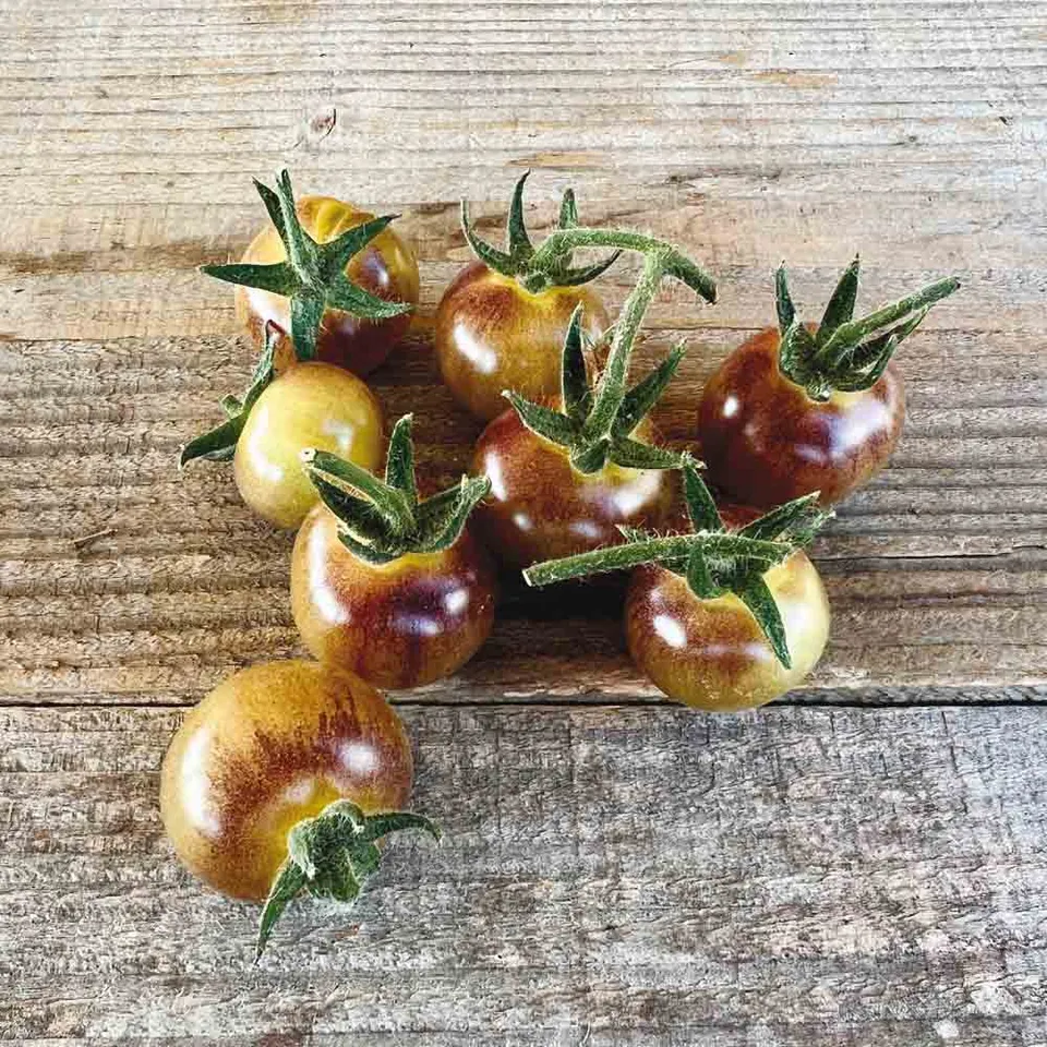 ferme-de-sainte-marthe-blue-cream-berries-tomate-cerise-bio-sucr-e image 1
