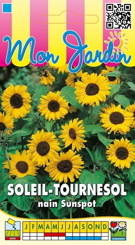 graines-bocquet-tournesol-nain-sunspot-graines-fleurs-3-g-jaune image 1