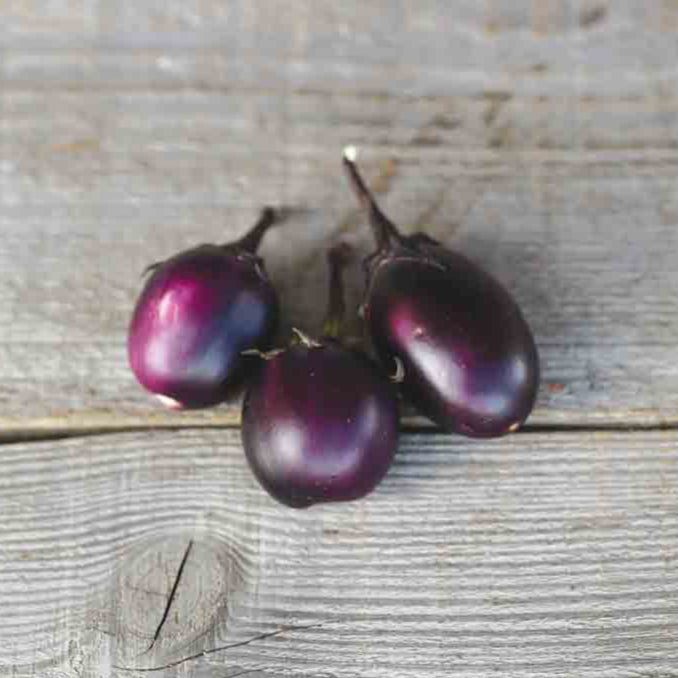 ferme-de-sainte-marthe-aubergine-bambino-graines-bio-sachet-pot image 1