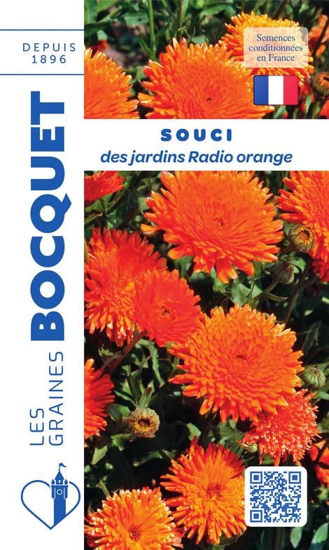 graines-bocquet-souci-radio-orange-graines-fleurs-3-g-annuel image 1