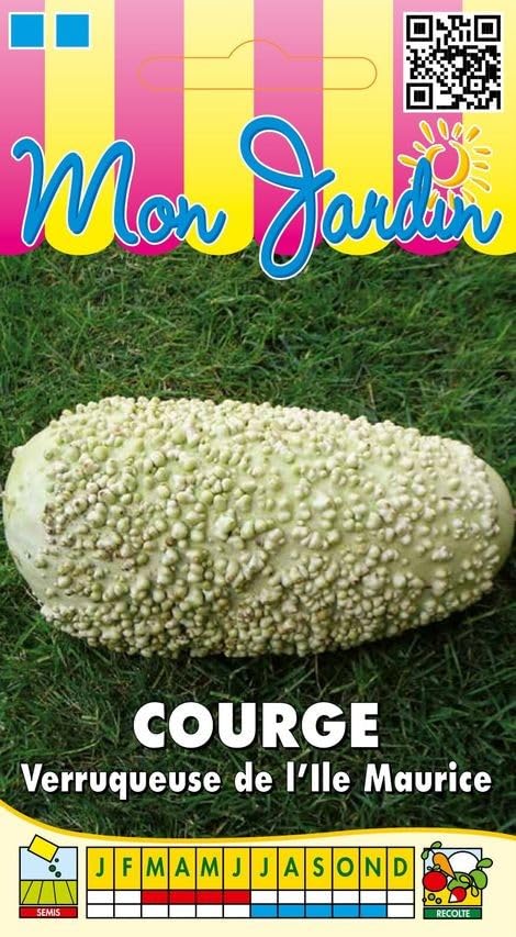 graines-bocquet-courge-verruqueuse-ile-maurice-graines-potag-res-3-g image 1