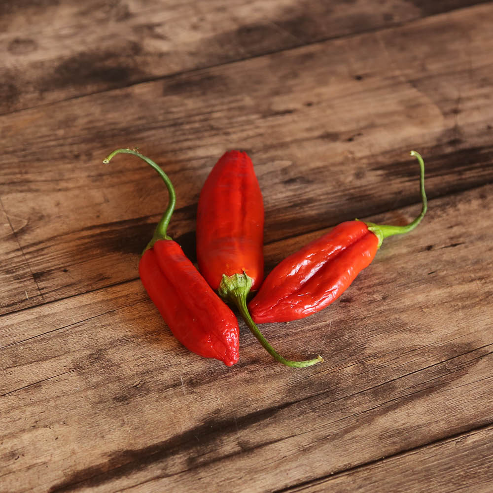 ferme-de-sainte-marthe-piment-aji-delight-graines-bio-doux-non-piquant image 1
