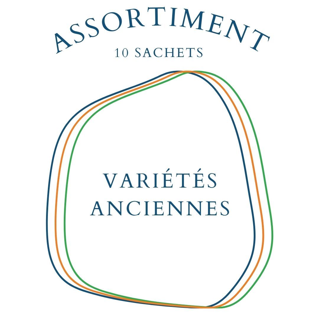 la-bo-te-graines-assortiment-anciennes-10-sachets-bio image 1