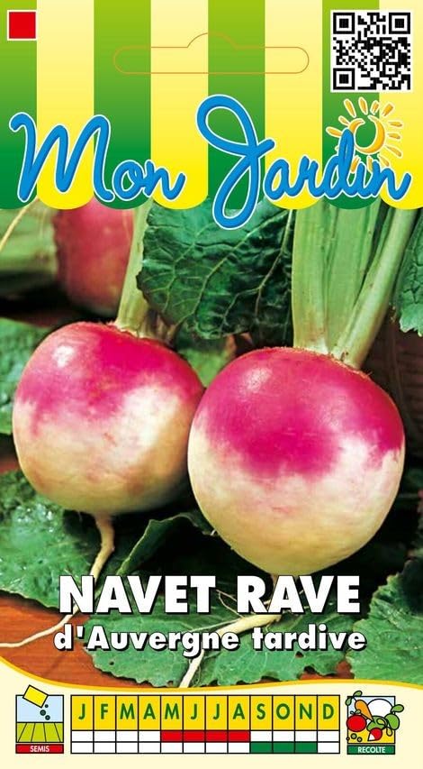 graines-bocquet-navet-rave-d-auvergne-tardive-graines-5-g image 1