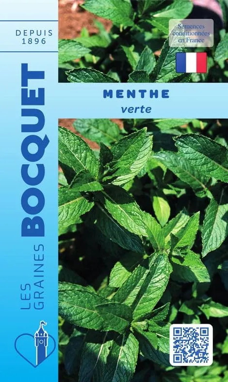 graines-bocquet-menthe-verte-graines-aromatiques-0-5-g-vivace image 1